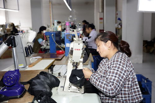 鲁渝两地开展劳务协作对接活动 三年帮助2825名贫困人员赴山东就业